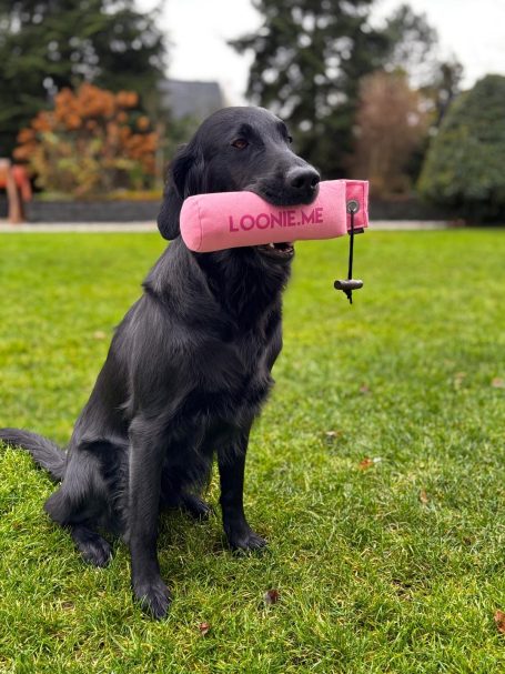 TRAGEN TRAGEN TRAGEN