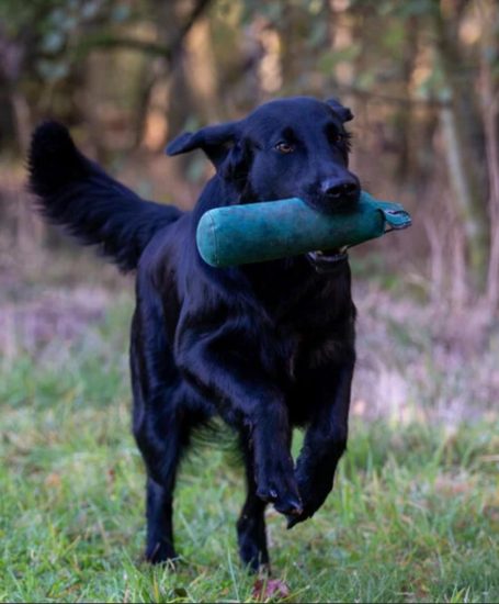 DUMMY TRAINING MORGENS MITTAGS ABENDS